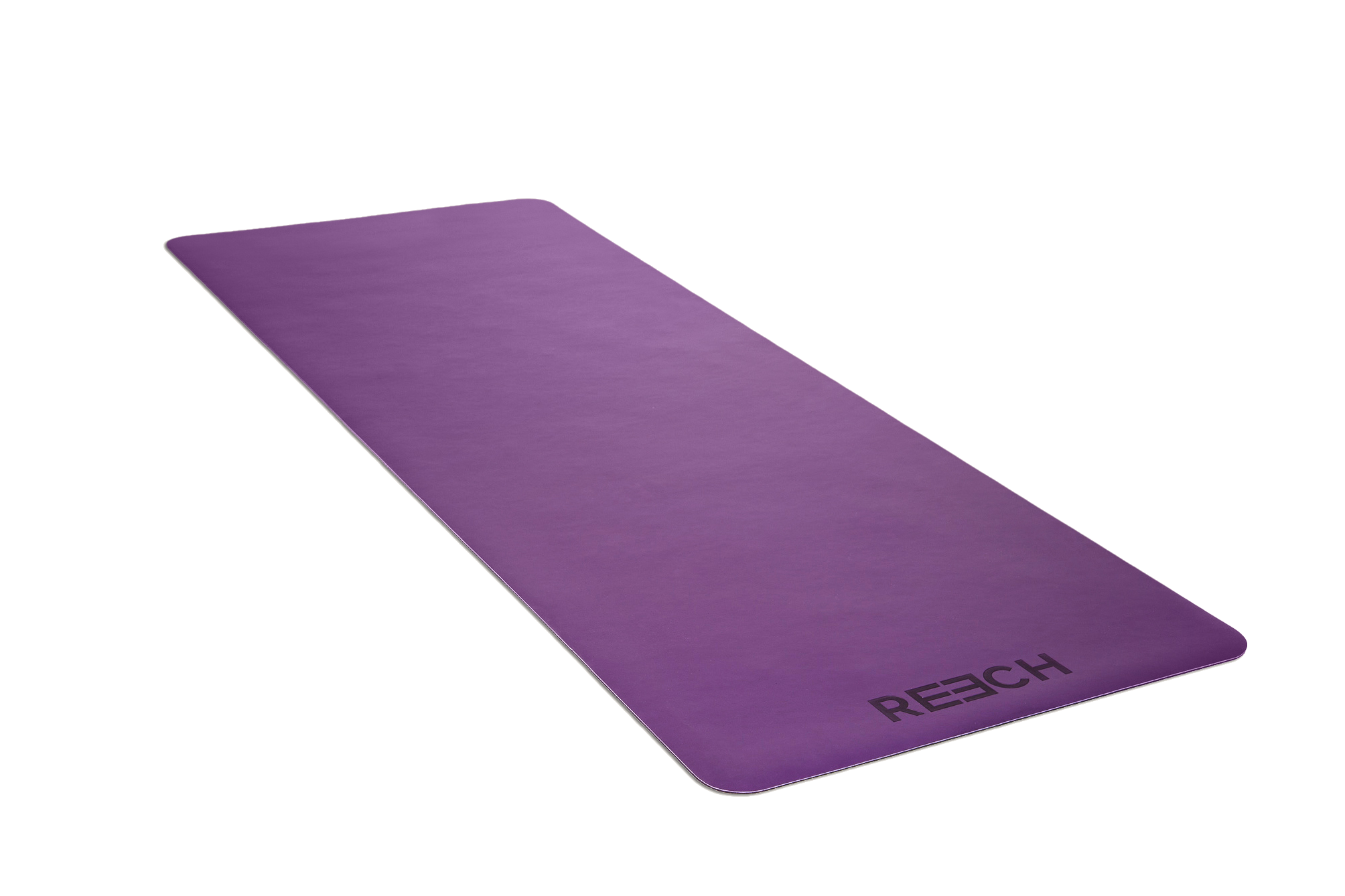 namaSTAY PURPLE-1